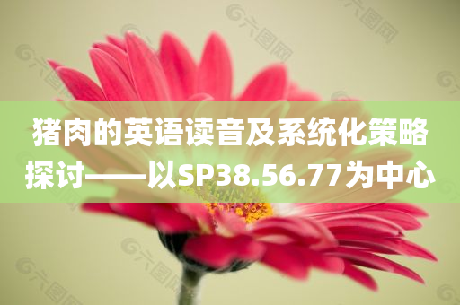 猪肉的英语读音及系统化策略探讨——以SP38.56.77为中心