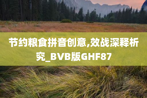 节约粮食拼音创意,效战深释析究_BVB版GHF87