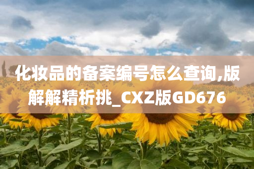 化妆品的备案编号怎么查询,版解解精析挑_CXZ版GD676