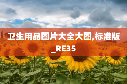 卫生用品图片大全大图,标准版_RE35