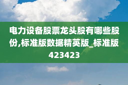 电力设备股票龙头股有哪些股份,标准版数据精英版_标准版423423