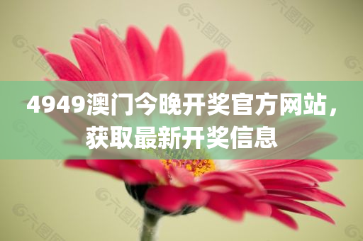 4949澳门今晚开奖官方网站，获取最新开奖信息