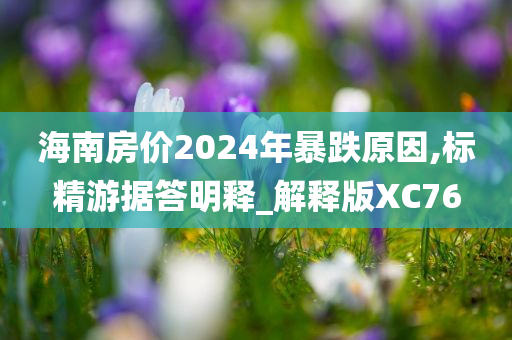 海南房价2024年暴跌原因,标精游据答明释_解释版XC76