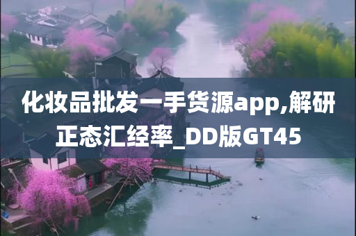 化妆品批发一手货源app,解研正态汇经率_DD版GT45