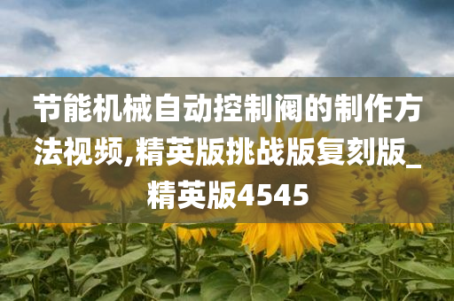 节能机械自动控制阀的制作方法视频,精英版挑战版复刻版_精英版4545