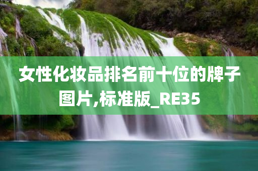 女性化妆品排名前十位的牌子图片,标准版_RE35