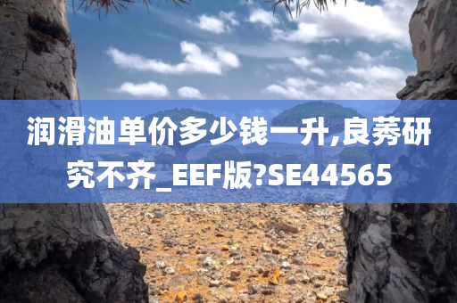 润滑油单价多少钱一升,良莠研究不齐_EEF版?SE44565