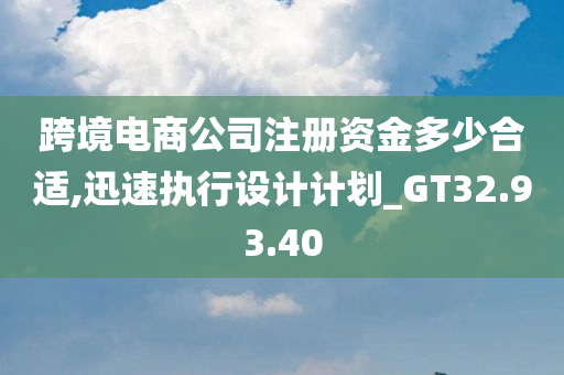 跨境电商公司注册资金多少合适,迅速执行设计计划_GT32.93.40