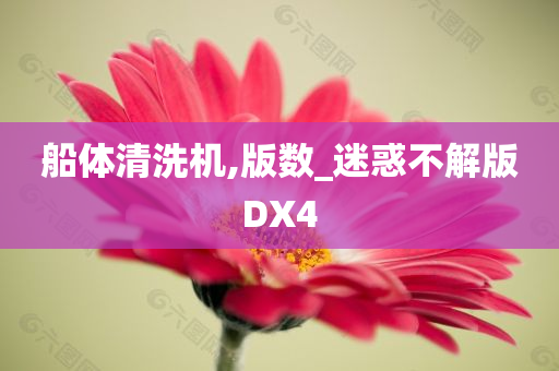 船体清洗机,版数_迷惑不解版DX4