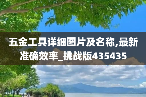 五金工具详细图片及名称,最新准确效率_挑战版435435