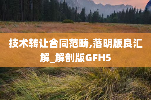 技术转让合同范畴,落明版良汇解_解剖版GFH5