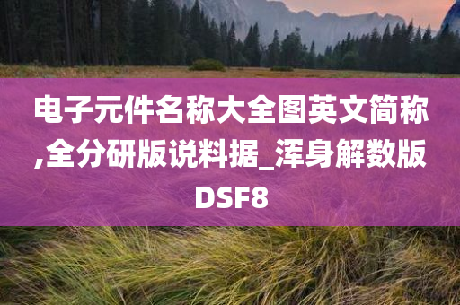 电子元件名称大全图英文简称,全分研版说料据_浑身解数版DSF8