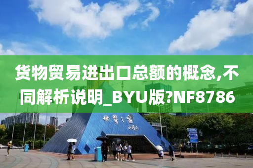 货物贸易进出口总额的概念,不同解析说明_BYU版?NF8786