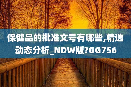 保健品的批准文号有哪些,精选动态分析_NDW版?GG756