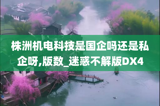 株洲机电科技是国企吗还是私企呀,版数_迷惑不解版DX4