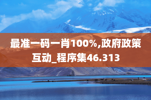 最准一码一肖100%,政府政策互动_程序集46.313