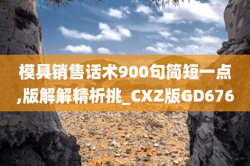 模具销售话术900句简短一点,版解解精析挑_CXZ版GD676