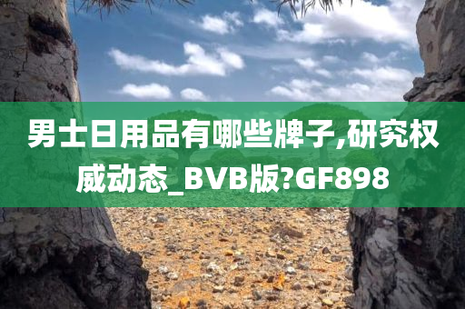 男士日用品有哪些牌子,研究权威动态_BVB版?GF898