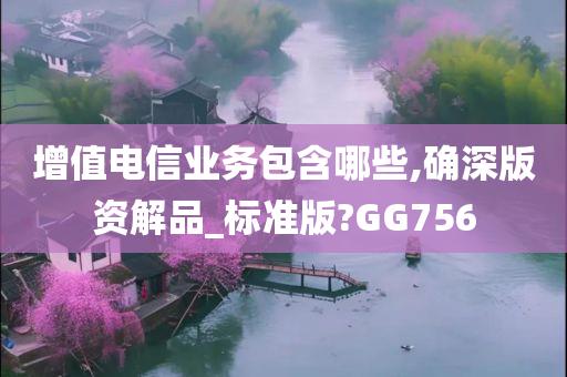 增值电信业务包含哪些,确深版资解品_标准版?GG756