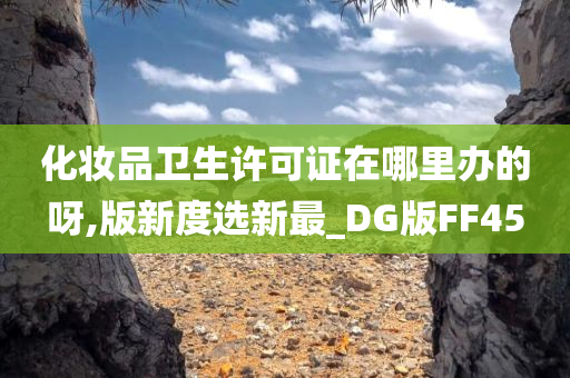 化妆品卫生许可证在哪里办的呀,版新度选新最_DG版FF45