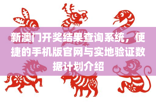 新澳门开奖结果查询系统，便捷的手机版官网与实地验证数据计划介绍