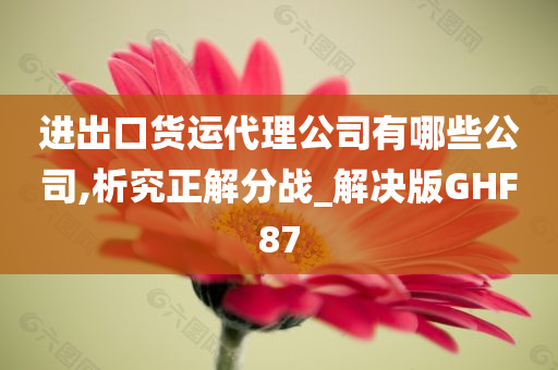 进出口货运代理公司有哪些公司,析究正解分战_解决版GHF87