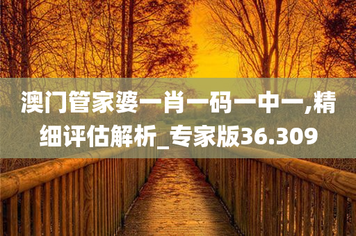 澳门管家婆一肖一码一中一,精细评估解析_专家版36.309