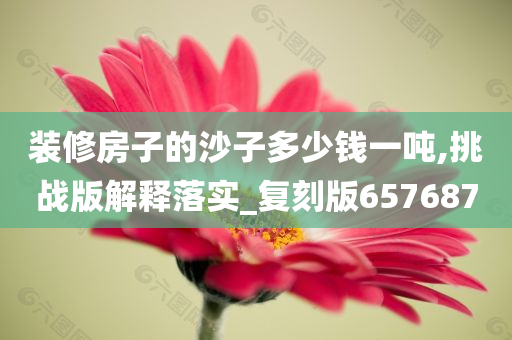 装修房子的沙子多少钱一吨,挑战版解释落实_复刻版657687