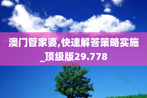 澳门管家婆,快速解答策略实施_顶级版29.778