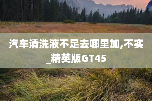 汽车清洗液不足去哪里加,不实_精英版GT45