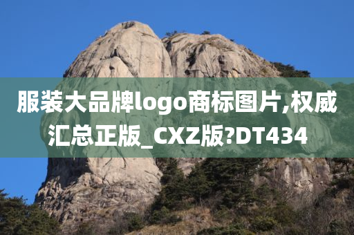 服装大品牌logo商标图片,权威汇总正版_CXZ版?DT434