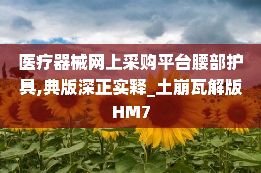 医疗器械网上采购平台腰部护具,典版深正实释_土崩瓦解版HM7