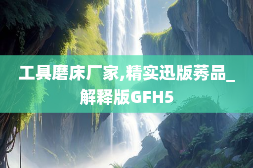 工具磨床厂家,精实迅版莠品_解释版GFH5