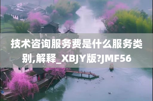 技术咨询服务费是什么服务类别,解释_XBJY版?JMF56