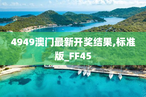 4949澳门最新开奖结果,标准版_FF45