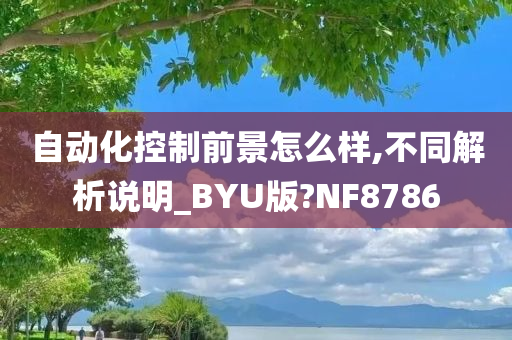 自动化控制前景怎么样,不同解析说明_BYU版?NF8786