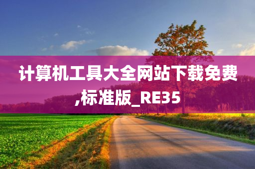 计算机工具大全网站下载免费,标准版_RE35