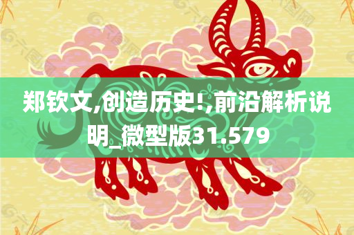 郑钦文,创造历史!,前沿解析说明_微型版31.579