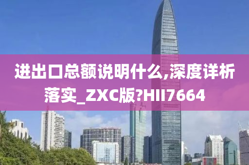 进出口总额说明什么,深度详析落实_ZXC版?HII7664