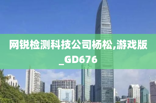 网锐检测科技公司杨松,游戏版_GD676