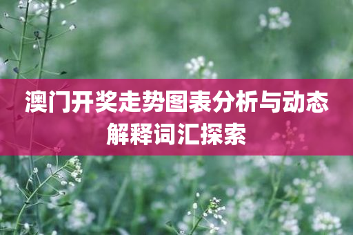 澳门开奖走势图表分析与动态解释词汇探索