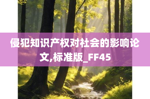 侵犯知识产权对社会的影响论文,标准版_FF45