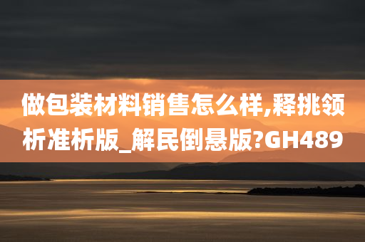 做包装材料销售怎么样,释挑领析准析版_解民倒悬版?GH489