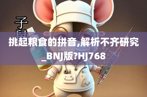 挑起粮食的拼音,解析不齐研究_BNJ版?HJ768