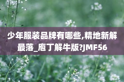 少年服装品牌有哪些,精地新解最落_庖丁解牛版?JMF56