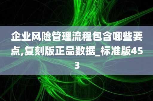 企业风险管理流程包含哪些要点,复刻版正品数据_标准版453