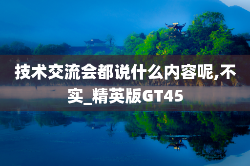 技术交流会都说什么内容呢,不实_精英版GT45