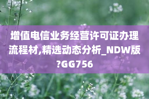 增值电信业务经营许可证办理流程材,精选动态分析_NDW版?GG756