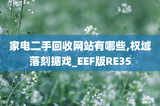 家电二手回收网站有哪些,权域落刻据戏_EEF版RE35