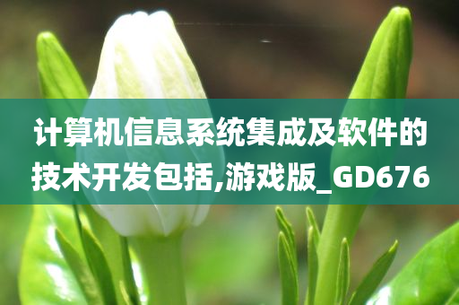 计算机信息系统集成及软件的技术开发包括,游戏版_GD676